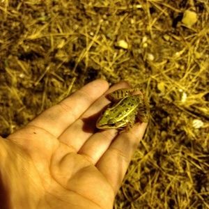 Meet your Posher, Debra